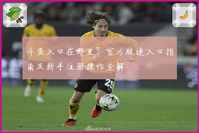 斗鱼入口在哪里？官方极速入口指南及新手注册操作全解