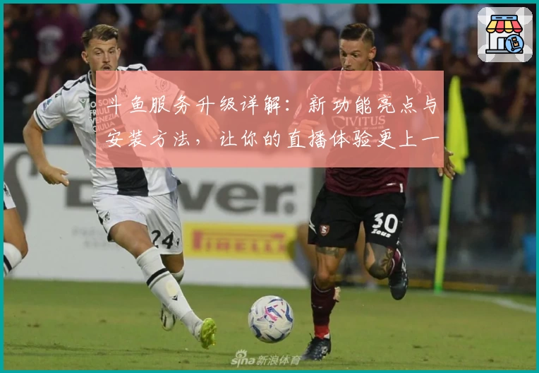 斗鱼服务升级详解：新功能亮点与安装方法，让你的直播体验更上一层楼