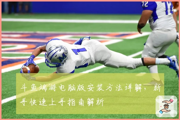 斗鱼端游电脑版安装方法详解，新手快速上手指南解析