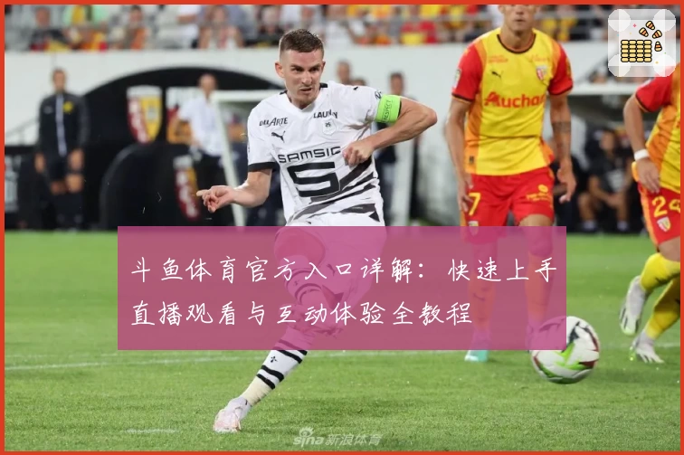 斗鱼体育官方入口详解：快速上手直播观看与互动体验全教程