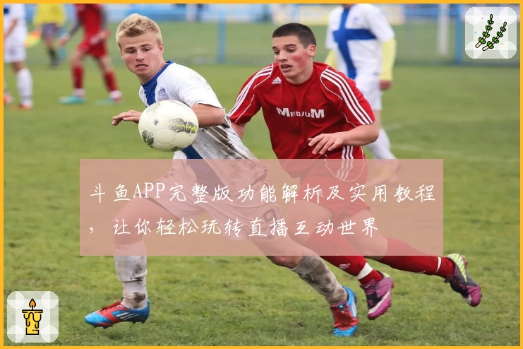 斗鱼APP完整版功能解析及实用教程，让你轻松玩转直播互动世界
