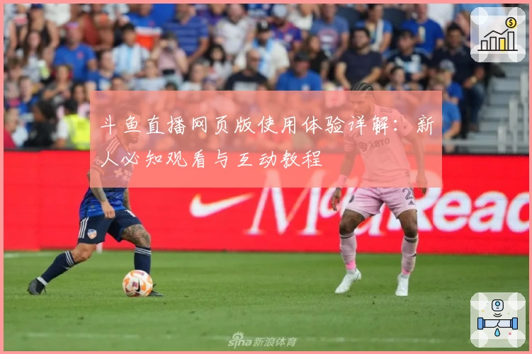 斗鱼直播网页版使用体验详解：新人必知观看与互动教程