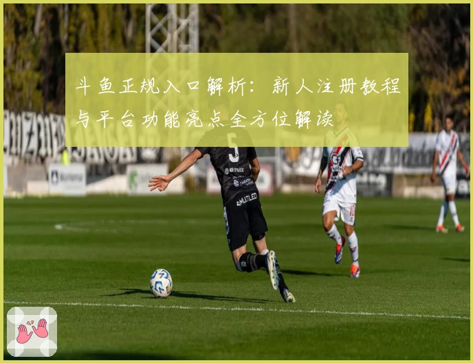 斗鱼正规入口解析：新人注册教程与平台功能亮点全方位解读
